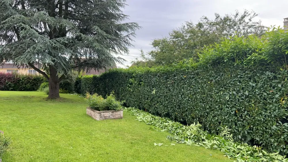 Création de jardins à Mareuil-la-Motte