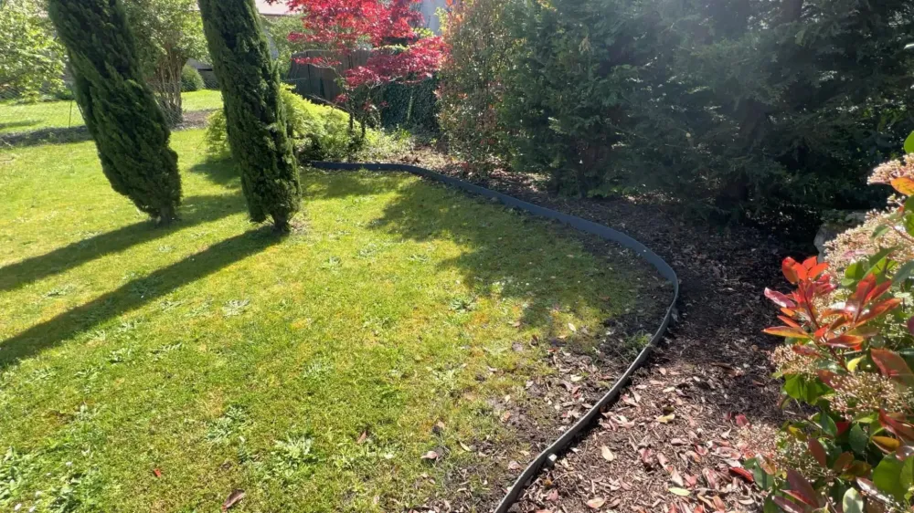 jardin paysage